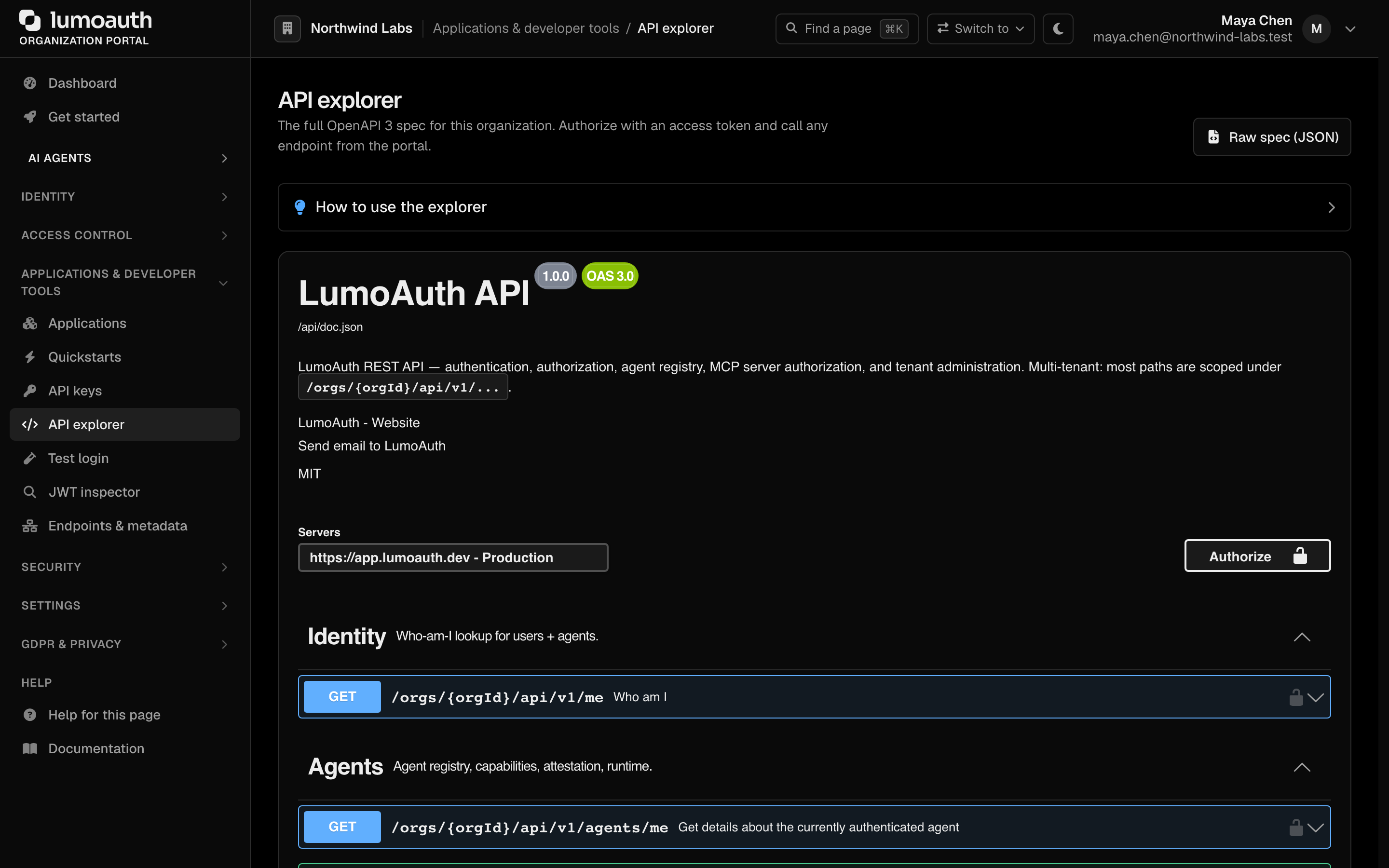 The API explorer with the Authorize button and the Identity and Agents endpoint groups